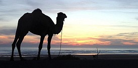 Quiksilver Windsurfer School - Sidi Kaouki, Maroko